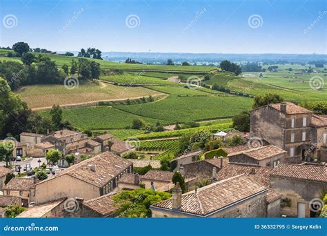 Vineyards in St. Emilion, France Stock Image - Image of agriculture, gironde: 36332795