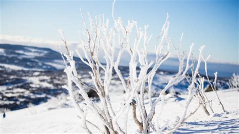 Snowy Mountains Pictures: View Photos & Images of Snowy Mountains