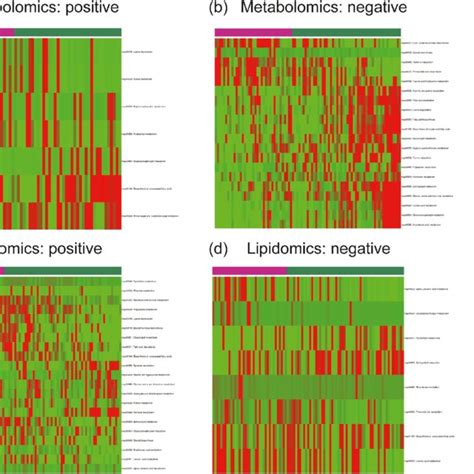 Fold Changes With Significance Of Metabolomic And Lipidomic Pathways Of