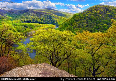 Spring Foliage at Laurel Highlands Trail Overlook Picture (Ohiopyle ...