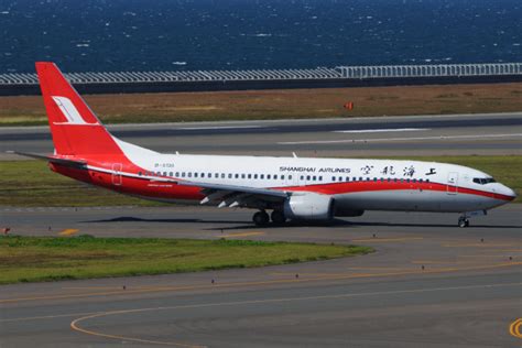 上海航空 Boeing 737 800 B 5130 中部国際空港 航空フォト By きんめいさん 撮影2019年10月15日