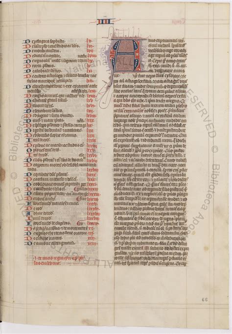 Readers react to Rome NY obits being digitized this week 6