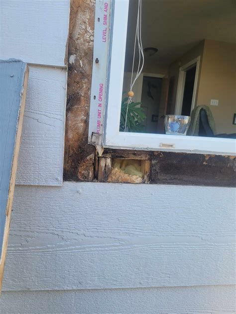 Vinyl Windows Leaking or Window Trim Leaking? : r/HomeImprovement