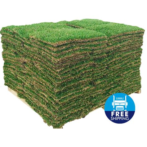 Harmony Outdoor Brands 500 Sq Ft Centipede Sod Pallet At