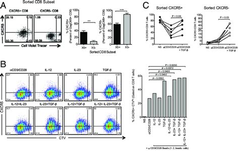 Induction Of Cxcr5 Cd8 T Cells Can Be Enhanced In Vitro A Cxcr5 Download Scientific Diagram