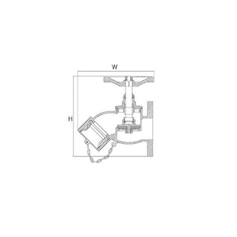 China Landing Valve Bib Nosed Type Flanged Type SF06 200D 00