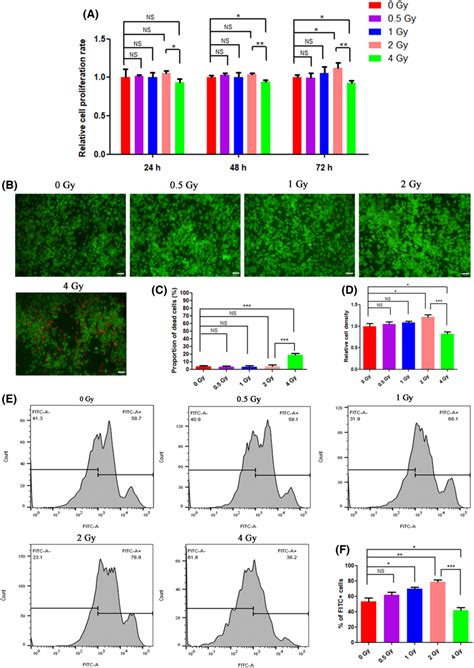 The Effects Of Different Doses Of Ir On The Proliferation Of Bmscs A