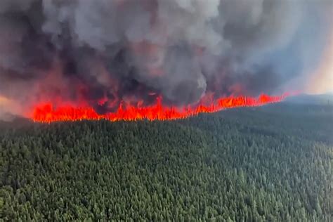 What causes wildfires in Canada? | TecScience