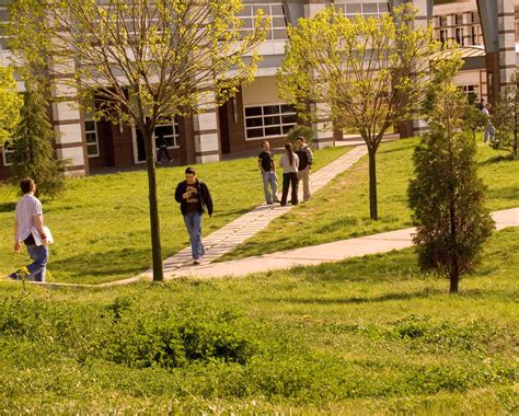 Green Man on Campus: Why Your University or College Campus...