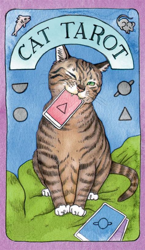 Cat Tarot 78 Cards Guidebook Microcosm Publishing