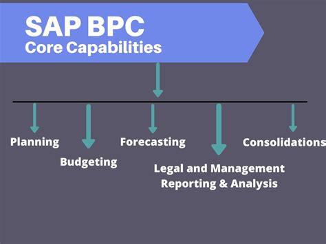 Sap Bpc Sap Business Planning Consolidation Bpc Services On