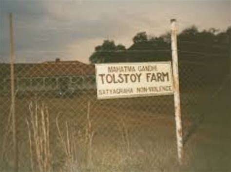 Indian firms to help revive Tolstoy Farm, Mahatma Gandhi's SA ashram | Business Standard News