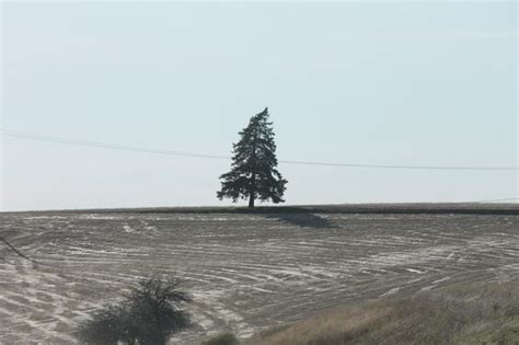 Pin By Ernesto Silveira On Landscapes Final Project Landscape