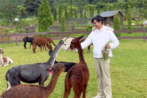 Hal Menarik Dari Bali Farm House Tempat Wisata Baru Yang Tawarkan