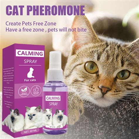 Calming Sprays For Cats Reduce Your Pets Anxiety Aggression Pheromone