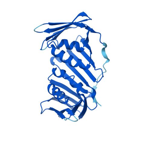 RCSB PDB AF AFP57765F1 Computed Structure Model Of DNA Polymerase