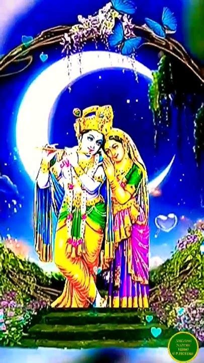 কৃষ্ণ কৃষ্ণ বল ময়না রাধা রাধা বল 🌹🙏radha Krishna Statuskrishna