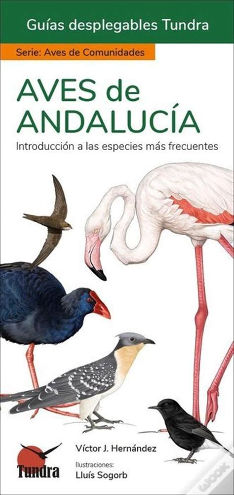 Aves De Andalucia Guias Desplegables Tundra De J Victor Hernandez