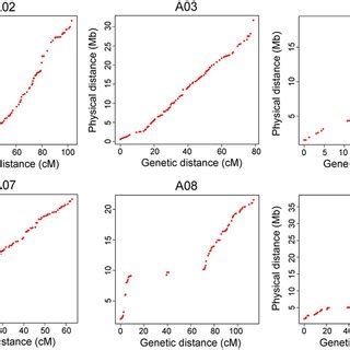 Correlation Between Genetic Distance And Physical Distance For The Ten