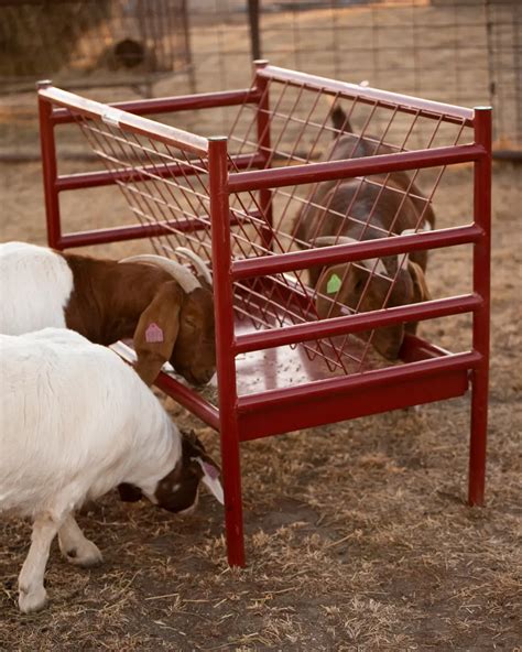 Departments - 22120051 Sheet/Goat Feeder 4'