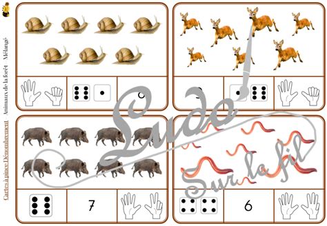 Cartes à pince Dénombrement Animaux de la forêt Ludo Sur Le Fil