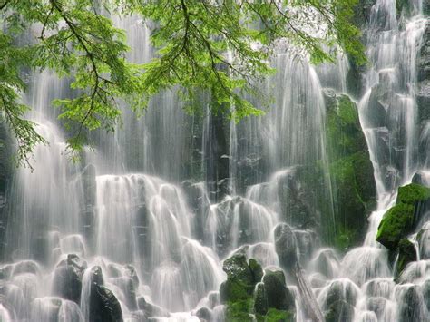 Download Nature Waterfall HD Wallpaper