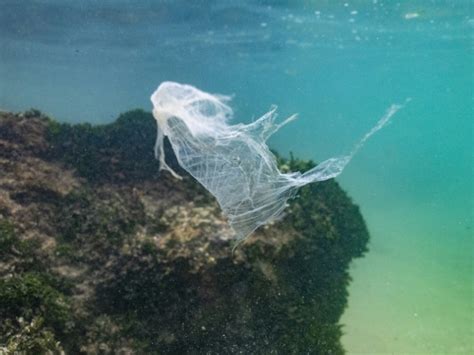 La Pollution Plastique A Atteint Toutes Les Parties Des Océans