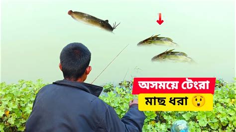 village hook fishing video youtube