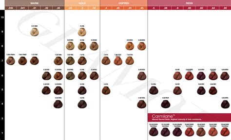 Majirel Hair Color Chart