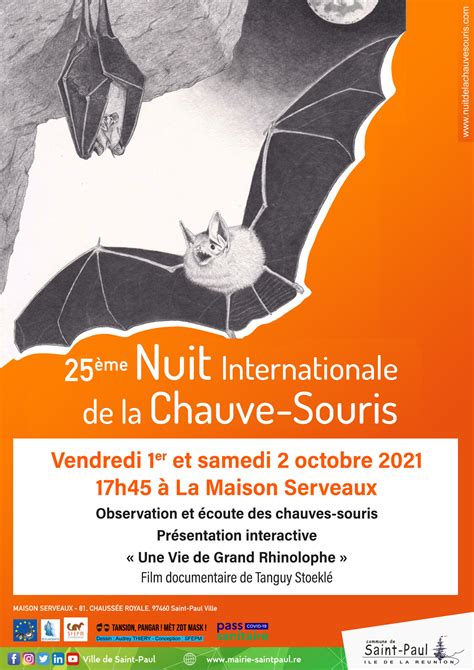 Me Nuit Internationale De La Chauve Souris Ville De Saint Paul