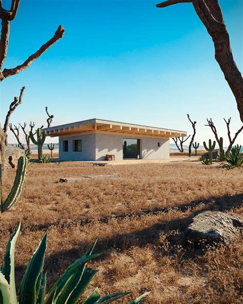 natural lighting behance