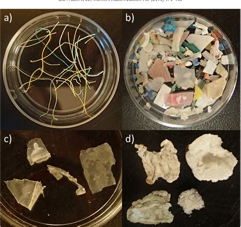 Pdf Abundance And Characteristics Of Microplastics In Beach Sediments Insights Into