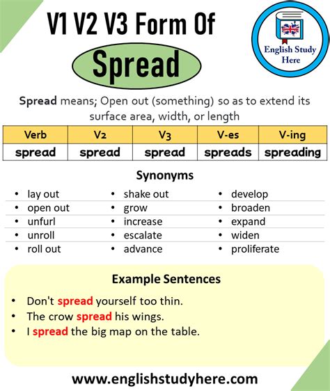 Past Tense of Spread, Past Participle of Spread, V1 V2 V3 V4 V5 Form of Spread - English Study Here