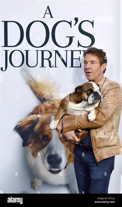 Dennis Quaid And His Dog Peaches Attend The Premiere Of A Dogs