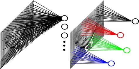 full connection  local connection  scientific diagram