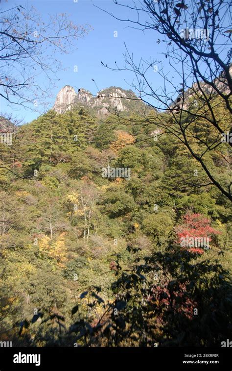 Huangshan Mountain In Anhui Province China View Of Peaks And Trees As