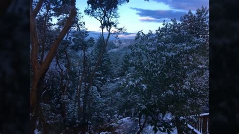 Snow day: Parts of Vancouver Island wake up to winter wonderland | CTV News