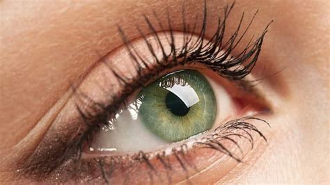 Mais Raras E Ex Ticas Cores De Olhos Que Existem Segredos Do Mundo