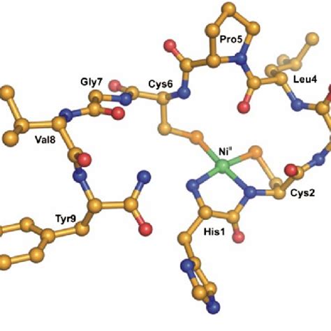 Dft Optimized Molecular Structure Based On Two Dimensional Liquid State Download Scientific