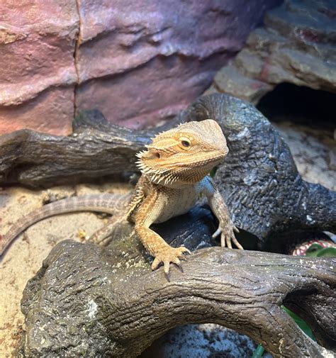 Frederick Petsmart added a new photo. - Frederick Petsmart