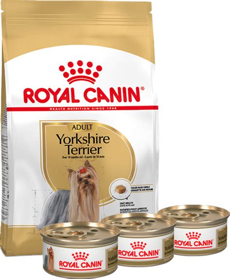 Royal Canin Combo Yorkshire Terrier Adult Alimento H Medo En Lata