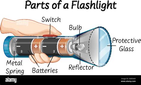 Diagrama Partes De Una Linterna Flashlight Lanterna Colorir