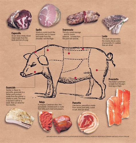 Pork Cushion Meat Diagram