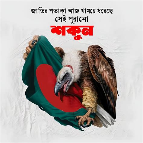 srdar nasir uddin