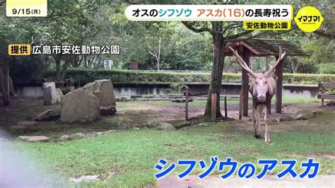 tbs news dig