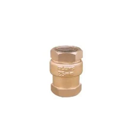 Buy Elems 3 4 Inch 20 Mm Bronze Vertical Check Valve Online In India At