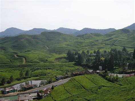 puncak pass jakarta indonesia holidify