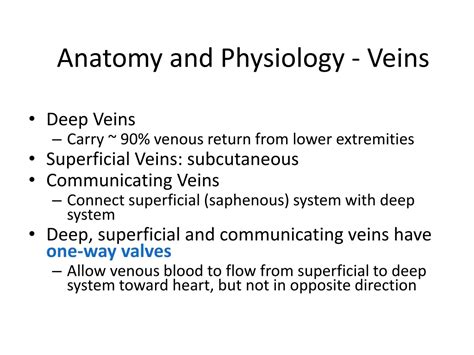 Ppt Understanding Peripheral Vascular System Anatomy And Health