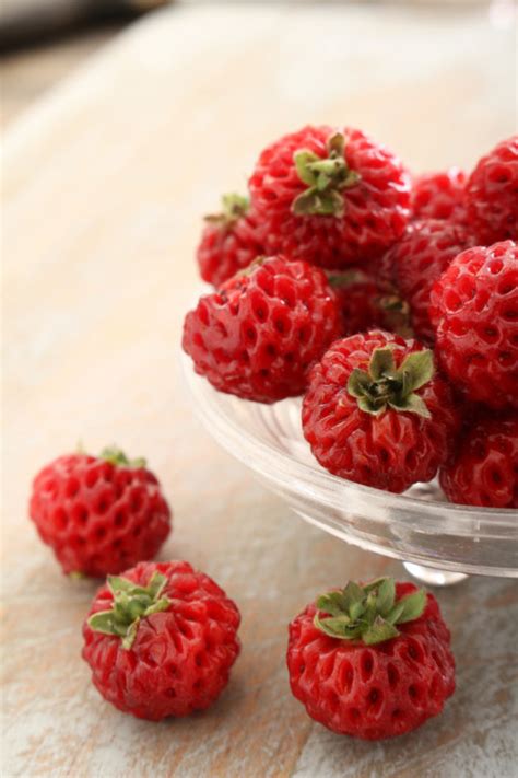 How To Grow Pineberries The White Strawberry With A Tropical Flavor