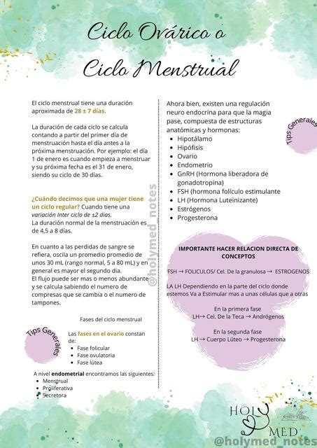 Ciclo Ov Rico O Ciclo Menstrual Key Points Holymed Udocz